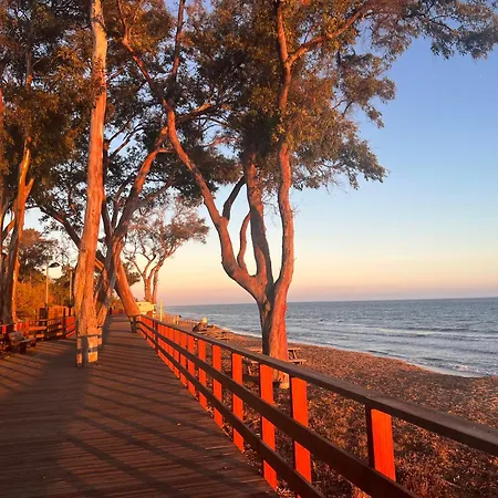Oasis: Beachside Retreat With Heated Pool & Games